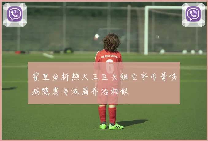 霍里分析热火三巨头组合字母哥伤病隐患与浓眉乔治相似