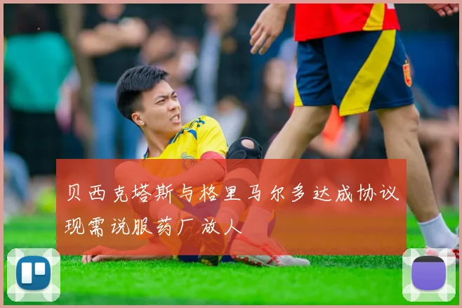 贝西克塔斯与格里马尔多达成协议现需说服药厂放人